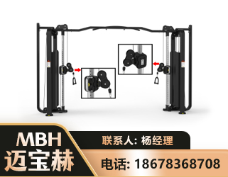 随州大飞鸟训练器