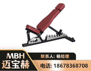 随州可调哑铃椅